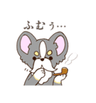 かわいいチワワ♡ブラックタンのあとむくん（個別スタンプ：23）