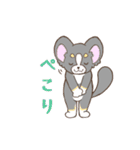 かわいいチワワ♡ブラックタンのあとむくん（個別スタンプ：24）