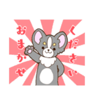 かわいいチワワ♡ブラックタンのあとむくん（個別スタンプ：27）