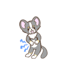 かわいいチワワ♡ブラックタンのあとむくん（個別スタンプ：31）