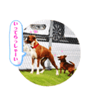 チビとサディ（個別スタンプ：2）