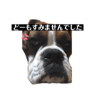 チビとサディ（個別スタンプ：3）