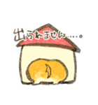 定番！しばくんスタンプ（個別スタンプ：23）