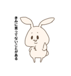 しらたま(うさぎ型)（個別スタンプ：35）