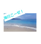 季節感てきなスタンプ（個別スタンプ：3）