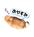 むー♡fam（個別スタンプ：2）