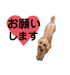 むー♡fam（個別スタンプ：8）
