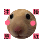 ハムスター日和（個別スタンプ：4）