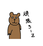 とりあえず熊初回（個別スタンプ：18）