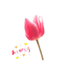 かわいい花より（個別スタンプ：1）