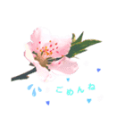 かわいい花より（個別スタンプ：2）