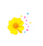 かわいい花より（個別スタンプ：3）