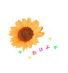 かわいい花より（個別スタンプ：4）
