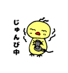 ひよこスタンプ2（個別スタンプ：29）