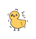 インコのりっぷたん（個別スタンプ：3）