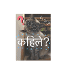 猫とネパール語1（個別スタンプ：21）