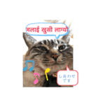 猫とネパール語1（個別スタンプ：29）