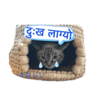 猫とネパール語1（個別スタンプ：30）