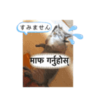 猫とネパール語1（個別スタンプ：34）