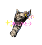 姫とムギ（個別スタンプ：3）