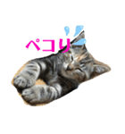 姫とムギ（個別スタンプ：5）