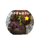 れっさー①（個別スタンプ：4）