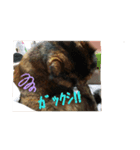 れっさー①（個別スタンプ：6）