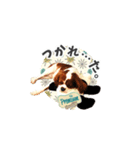50sデザイン-キャバリア＆チワワ（個別スタンプ：6）