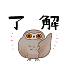 フクロウたちのスタンプ（個別スタンプ：3）
