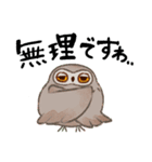 フクロウたちのスタンプ（個別スタンプ：4）