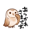 フクロウたちのスタンプ（個別スタンプ：9）