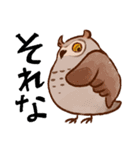 フクロウたちのスタンプ（個別スタンプ：15）