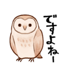 フクロウたちのスタンプ（個別スタンプ：16）