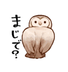 フクロウたちのスタンプ（個別スタンプ：17）