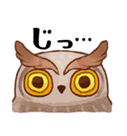 フクロウたちのスタンプ（個別スタンプ：19）