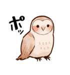 フクロウたちのスタンプ（個別スタンプ：20）