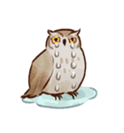フクロウたちのスタンプ（個別スタンプ：22）