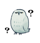 フクロウたちのスタンプ（個別スタンプ：24）
