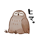 フクロウたちのスタンプ（個別スタンプ：25）
