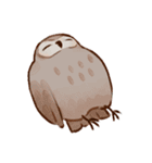 フクロウたちのスタンプ（個別スタンプ：26）