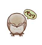 フクロウたちのスタンプ（個別スタンプ：27）