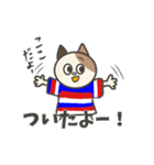 トリコロール好きのサッカー応援スタンプ（個別スタンプ：27）