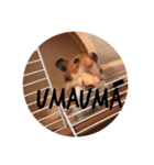 おとぼけ顔の9ぱちぱち（個別スタンプ：2）