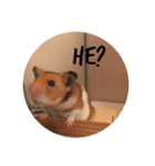 おとぼけ顔の9ぱちぱち（個別スタンプ：4）