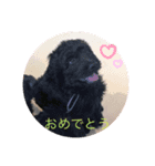 のえるとのあスタンプ（個別スタンプ：8）