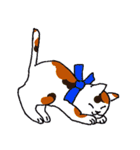 ソラノコト（個別スタンプ：36）