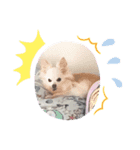 timo＆sia（個別スタンプ：4）