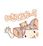 ねこもちゃスタンプ（個別スタンプ：11）