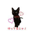ちーちゃんくーちゃん（個別スタンプ：1）