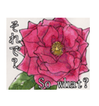 美しい薔薇 日本語＆英語 日常会話（個別スタンプ：29）